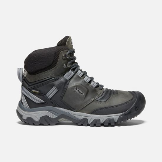 Image de Chaussures Keen ridge flex homme