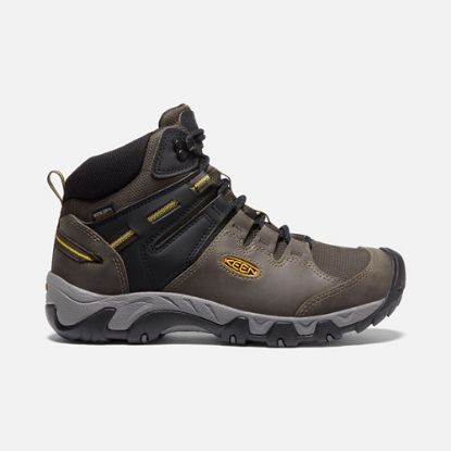 Image de Chaussures Keen steens mid homme
