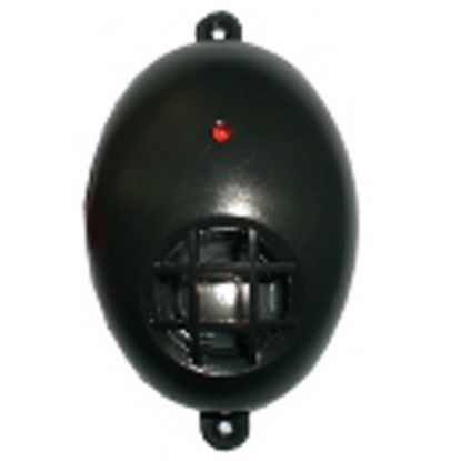 Image de Répulsif à ultrason Isotronic pour martres