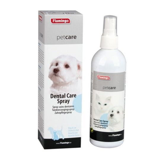 Image de Soin dentaire chien et chat 175ml