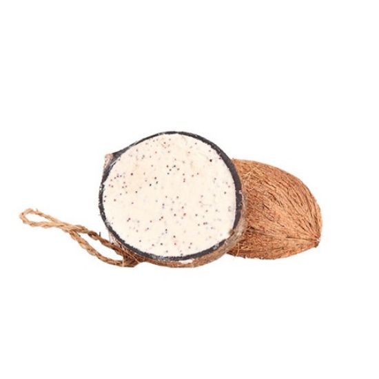 Image de Noix de coco-mangeoire pour oiseaux de la nature