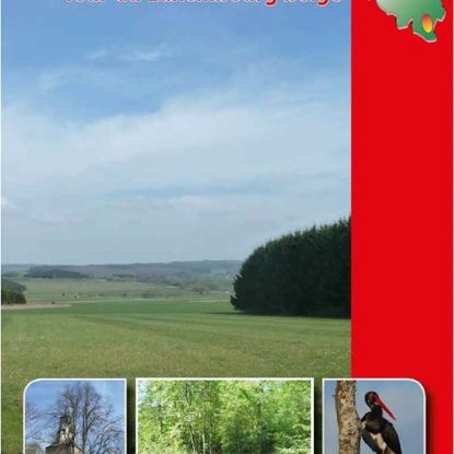 Image de Topo-guide GR 151 Tour du Luxembourg belge