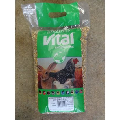 Image de Grain cassé  poule Vital  5kg