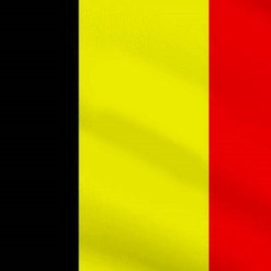 Image de Drapeau Belge